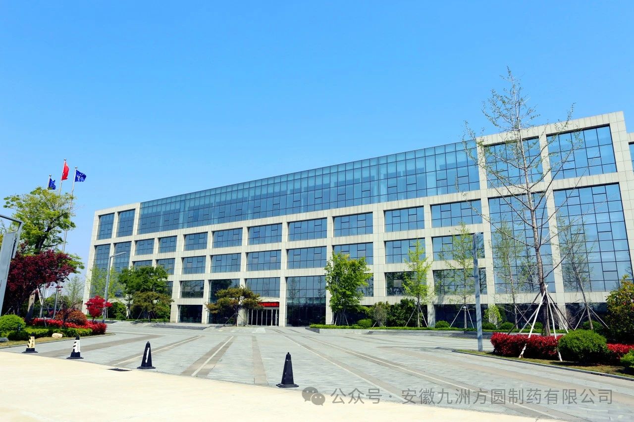 歡迎重慶市沙坪壩區區委常委、副區長戶邑一行考察九洲方圓